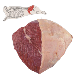Rump Heart