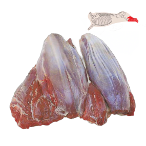 Shank