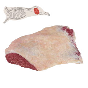Silverside