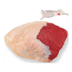 Topside