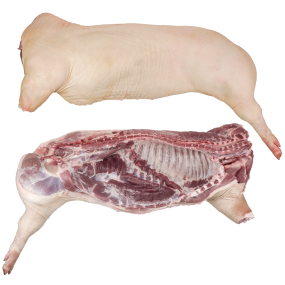 Carcass