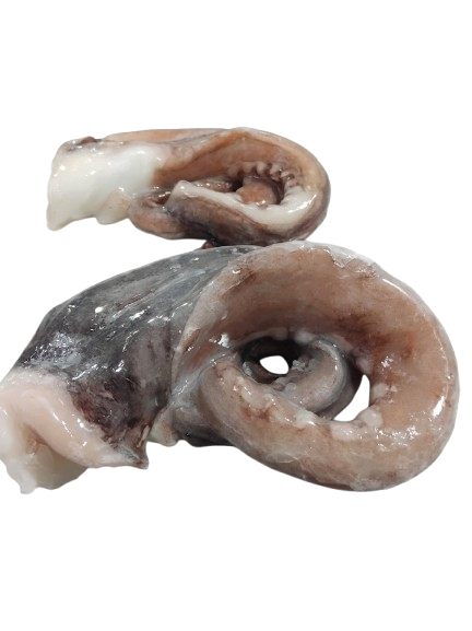 Giant Squid Tentacles IQF