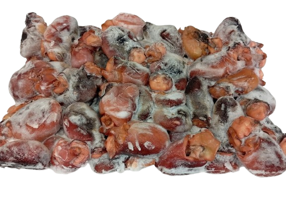Cooked Octopus Heads