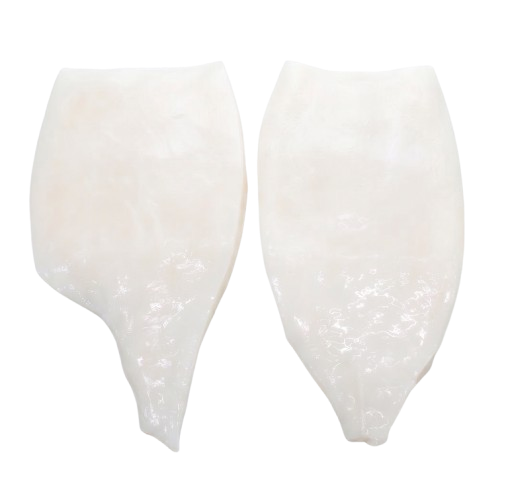 Giant Squid Fillet