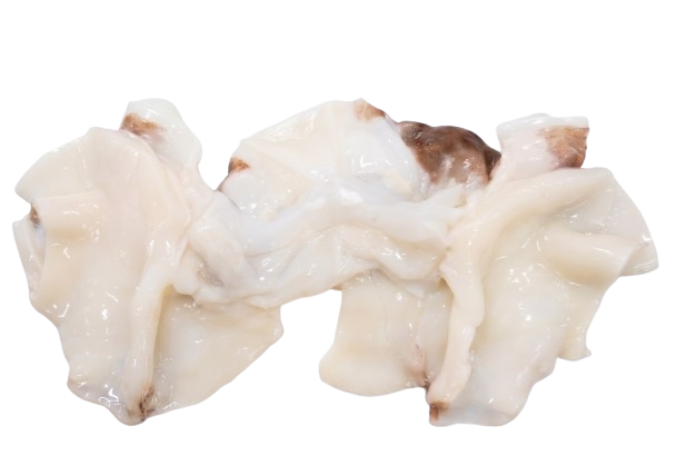 Giant Squid Necks